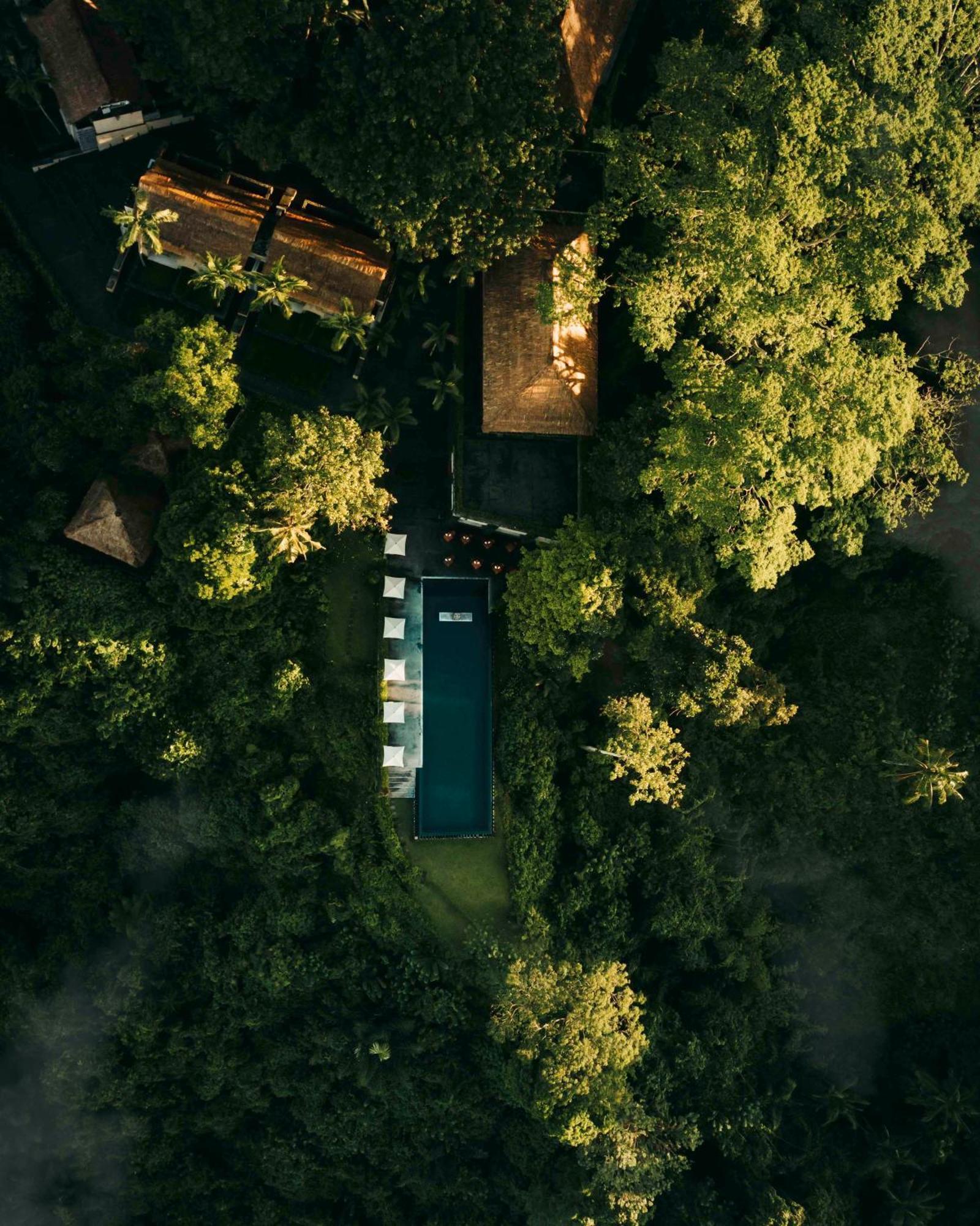 Payangan Alila Ubud מראה חיצוני תמונה